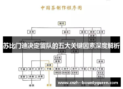 苏比门迪决定留队的五大关键因素深度解析