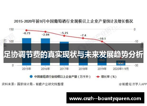 足协调节费的真实现状与未来发展趋势分析